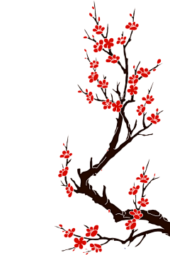 Tarot--采集到花
