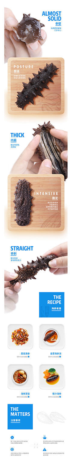 高歌视觉—了三儿设计采集到海参