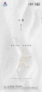 小雪