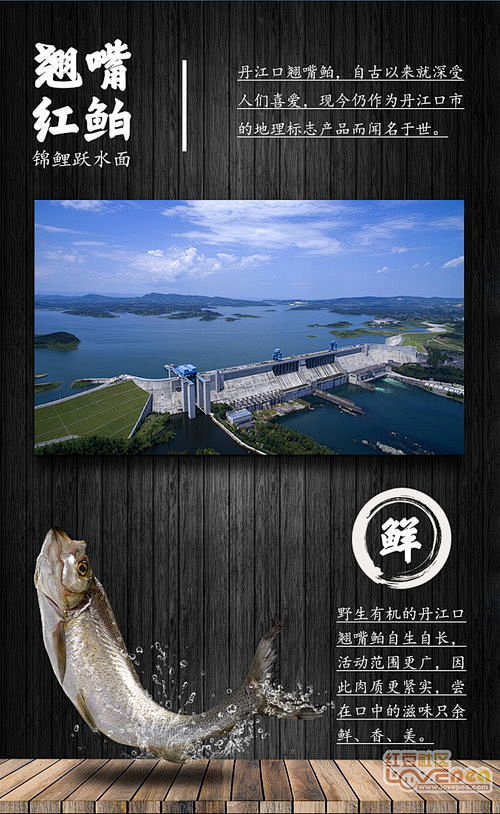 搜狗图片搜索 - 翘嘴鲌