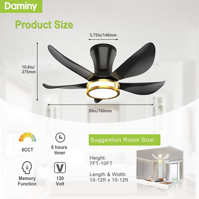 Amazon.com: DAMINY 3...