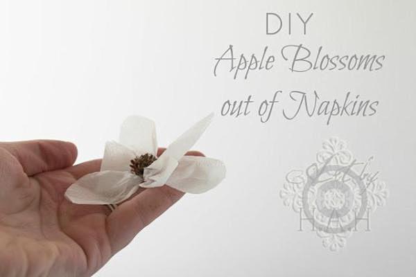 [DIY纸巾苹果花手工教程] 苹果是大家...