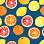 Watercolor vector citrus fruits 水彩水果矢量PNG图案素材