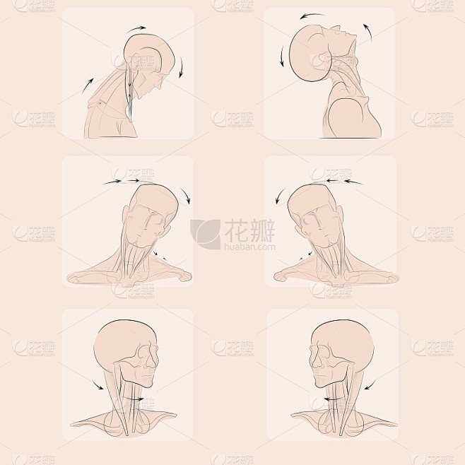 头1