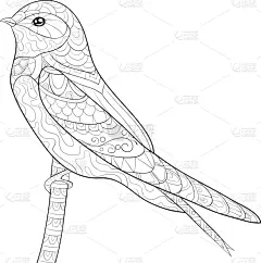 可爱的,成年的,燕子,华丽的,鸟类,洋葱花,乱画,轮廓,着色,冥想