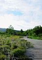 Dan Pearson_Tokachi Millennium Forest_Hokkaido Japan: 