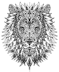 Free coloring page lion: 