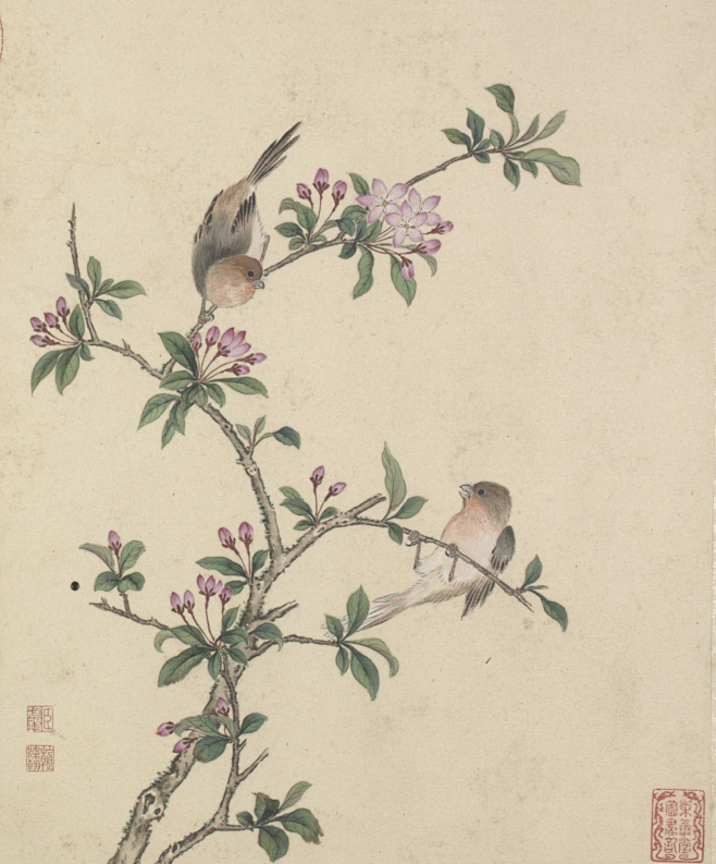 花卉虫草册.二十四帧.清蒋廷锡绘.故宫博物院藏本