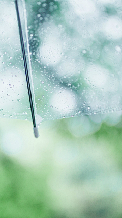 西门吹霾采集到雨