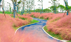 流光碎影中的青春飞过夏天采集到景观——道路街景/铺装