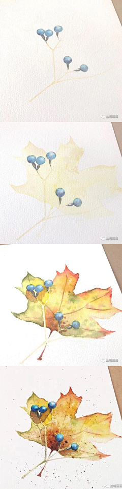 珥冬隅采集到水彩绘画过程