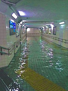 参考用采集到场景
