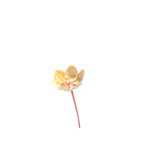 ♥小样哪里跑！♥采集到花瓣，漂浮物