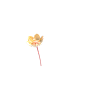 花4_0031