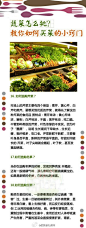 【蔬菜怎么挑才不会被骗？9张图告诉你】挑菜可是门大学问，这篇集合贴大家一定要认真看，用心珍藏哟，别被无良商贩坑了哟，学会做菜之前得先学会如何挑菜！@跟我做私房菜