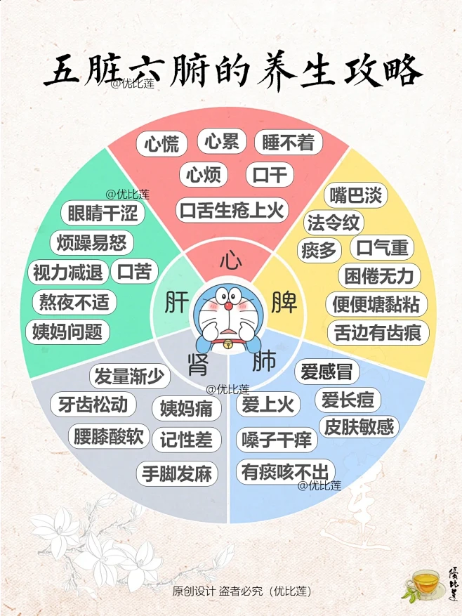五脏六腑的养生攻略-花瓣网