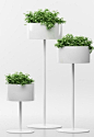 GREEN CLOUD Aluminium plant pot by Systemtronic: 