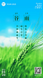 谷雨节气祝福排版手机海报