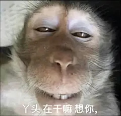 没有什么吗喽表情包能逗笑我了