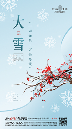 哆啦百宝箱采集到地产大雪