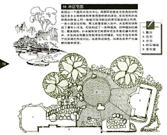 Sally玥采集到E-花园平面图