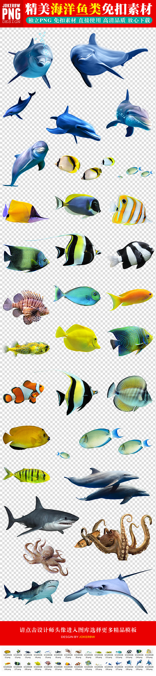 海洋生物透明图片海鱼PNG免扣图片素材