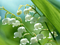 4311432ed4d8afe6cb1737e21503958de1bc92fd17932-3S7IoE_fw1200