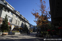 安安安安安暖采集到惠斯勒Whistler