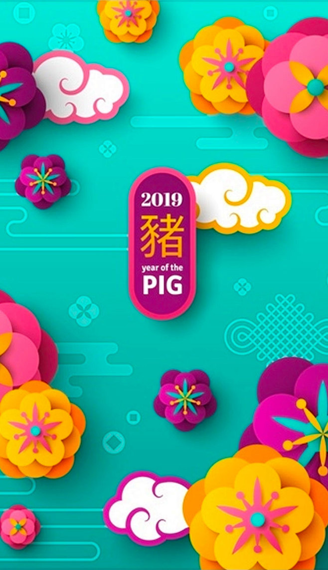 2019猪年