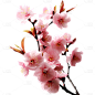 春天春日3D立体C4D实景桃花花朵花元素素材