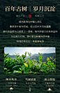 云南普洱熟茶特级碎银子茶叶礼盒装800g年货送礼糯米香正宗茶化石-tmall.com天猫