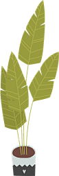 夏天绿色盆栽植物PNG免扣图