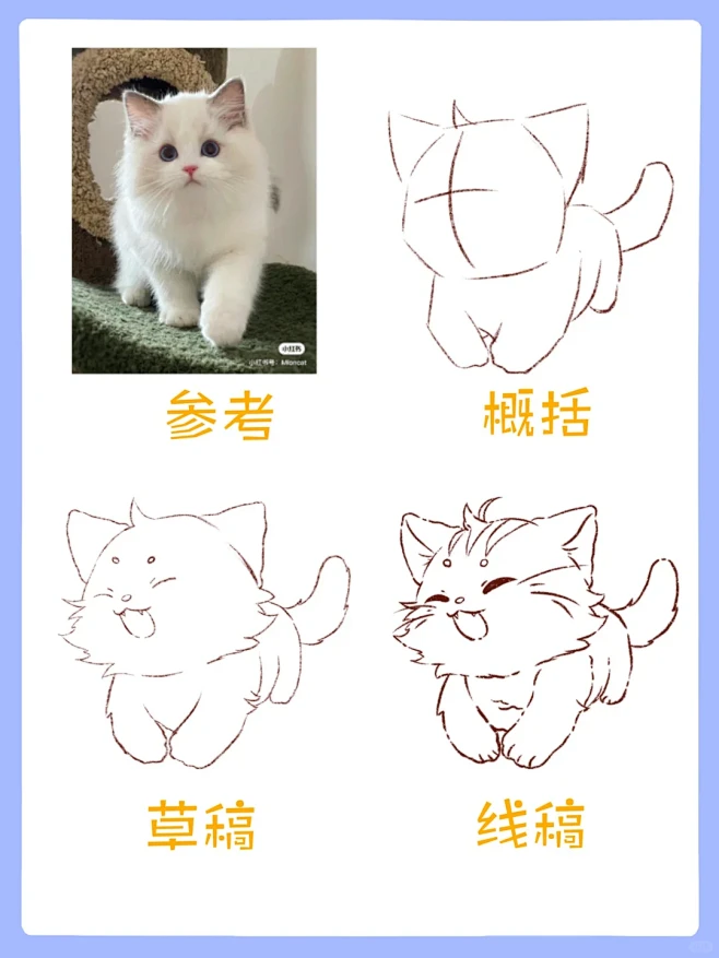 【100天带练】宠物明星来啦～ - 小红...