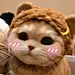 自愈自乐的猫