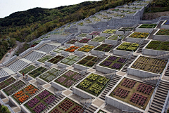 一缕半夏微光一抹茶色阳光采集到庭院