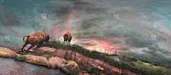 河岸上的水牛