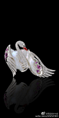  Master Exclusive Jewellery，Collection-Birds of Paradise ​​​​