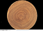 木纹板材机理效果-褐色的树年轮纹图片素材下载，现在加入素材公社即可参与传素材送现金活动