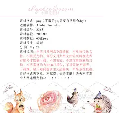 小清新暖色调手绘水彩小动物小松鼠花卉png插画设计素材-淘宝网