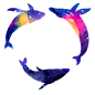 海洋 鲸鱼 PNG 水彩 星空 梦幻 唯美 小清新 手绘 水彩 手帐 插画 蓝鲸 炫彩 背景 免抠图PNG素材，更多素材尽在【点技能】