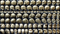 different_angles_of_a_skull_by_clz-d64u8qh.jpg (3000×1695)