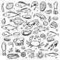 手绘海鲜水产鱼虾蟹餐厅插图图形海报包装AI矢量设计素材 (8)