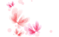 pink white background  / 1920x1200 Wallpaper