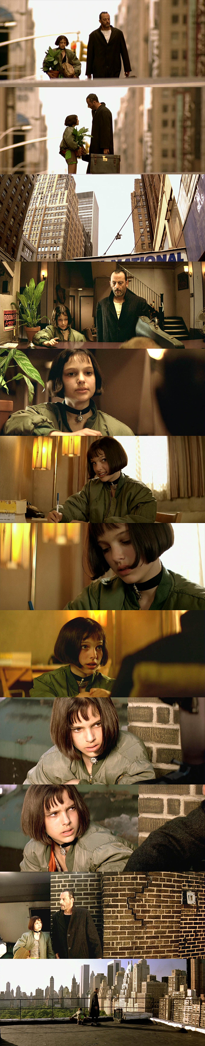 【这个杀手不太冷 Léon (1994)...
