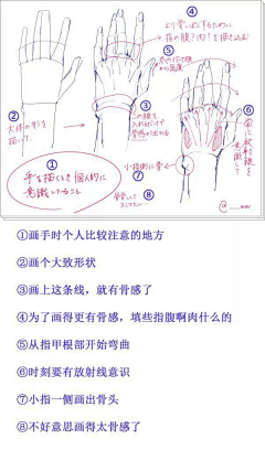 艺术不洛洛采集到人体