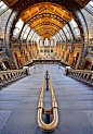 Natural History Museum, London