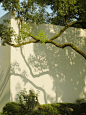 Green zone - 小红书