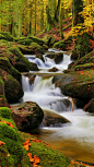Picture_05_Stream