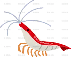 红条纹虾（热带鱼）贴纸扁平儿童插画元素卡通免扣png图片素材