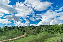 山路，热带景观，棕榈树，天空景观，阳光透过云层，多米尼加共和国
